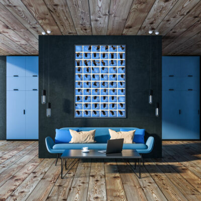 Ballet/ Swan Lake - photography art print 1 of 4 - acrylic glass