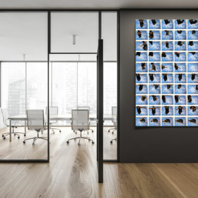 Ballet/ Swan Lake - photography art print 4 of 4 - acrylic glass