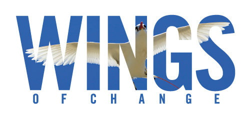 Wings-of-Change-Logo-bird-500x238